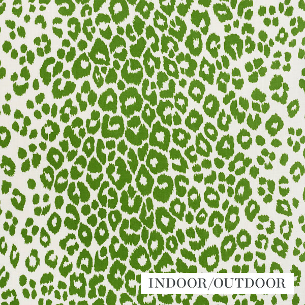 『 Green Leopard fam 』by Zuberi 60*60cm Green Leopard fam 』by Zuberi 60*60cm Zebra-leopard fusion